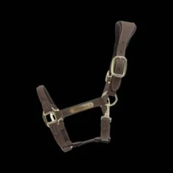 New Licol anatomique en suédine - Kentucky - Cuir artificiel Licols Et Longes