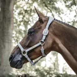 New Licol anatomique en suédine - Kentucky - Cuir artificiel Licols Et Longes