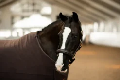 Licol Anatomique Moonless Night - Licols Et Longes