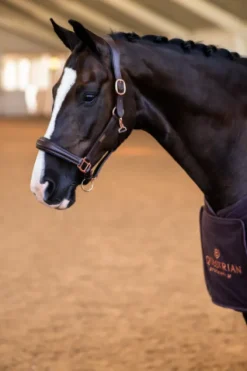 Licol Anatomique Moonless Night - Licols Et Longes