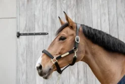 Online Licol anatomique nylon - Kentucky Licols Et Longes