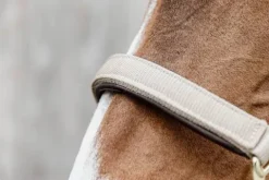 Online Licol anatomique nylon - Kentucky Licols Et Longes