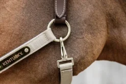 Online Licol anatomique nylon - Kentucky Licols Et Longes