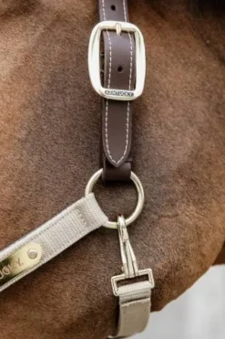 Online Licol anatomique nylon - Kentucky Licols Et Longes