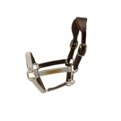 Online Licol anatomique nylon - Kentucky Licols Et Longes