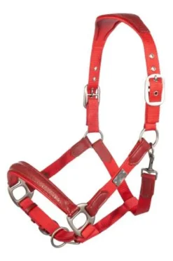 Licol aruba Licols Et Longes