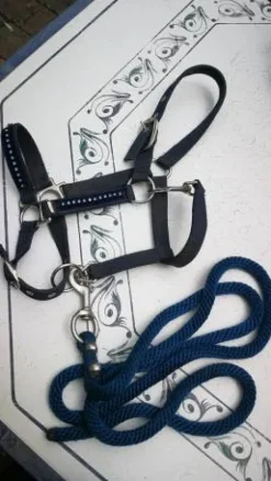 Discount Licol bleu marine à strasse Licols Et Longes