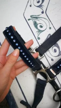 Discount Licol bleu marine à strasse Licols Et Longes