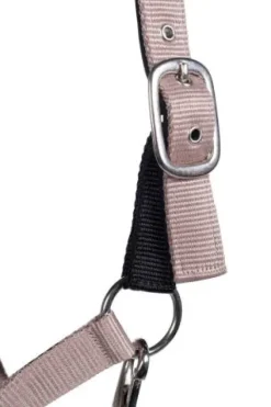 Licol Breakaway - - Velcro de sécurité Licols Et Longes