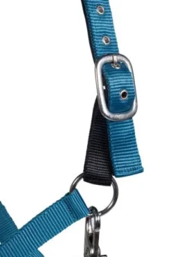 Licol Breakaway - - Velcro de sécurité Licols Et Longes