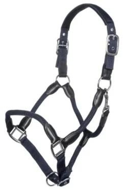 Discount Licol carlotta - - cuir et nylon Licols Et Longes