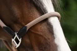 Discount Licol carlotta - - cuir et nylon Licols Et Longes