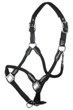 Discount Licol carlotta - - cuir et nylon Licols Et Longes