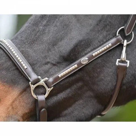 Hot Licol Clincher - Collection One Premium - Licols Et Longes
