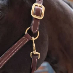 New Licol cuir - Licols Et Longes