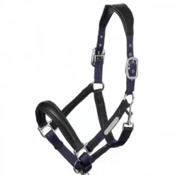 Online Licol cuir capella Licols Et Longes