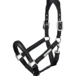 Online Licol cuir capella Licols Et Longes