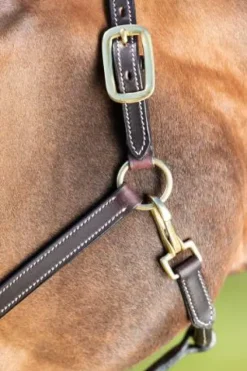 Sale Licol cuir coutures crème noir - - cuir souple Licols Et Longes