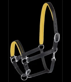 Online Licol cuir diamond Licols Et Longes