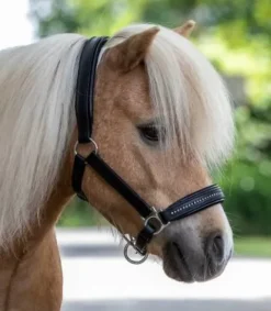 Online Licol cuir diamond Licols Et Longes