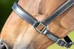 Online Licol cuir double réglage - - cuir souple Licols Et Longes