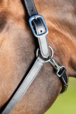 Online Licol cuir double réglage - - cuir souple Licols Et Longes