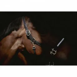 Hot Licol cuir Harmonie - PENELOPE COLELCTION Licols Et Longes