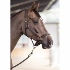 Licol cuir NT - - Cuir vachette souple Licols Et Longes