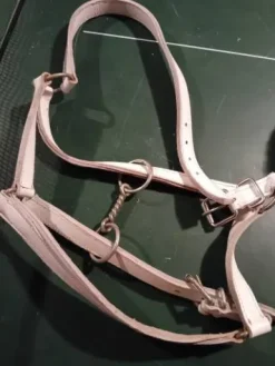 Licol cuir pour trait Equipements D'Attelage|Bridons Et Brides·Bride D'attelage