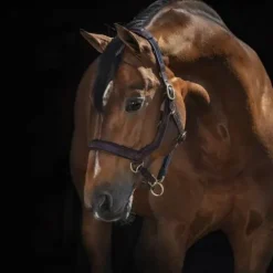 New Licol cuir Micklem - Horseware Licols Et Longes