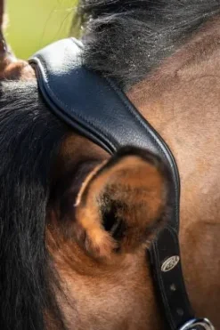 Best Licol cuir Wave Licols Et Longes