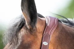 Best Licol cuir Wave Licols Et Longes