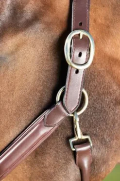 Best Licol cuir Wave Licols Et Longes