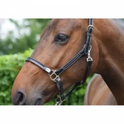 New Licol de pansage - Collection Week - Jump'in Licols Et Longes