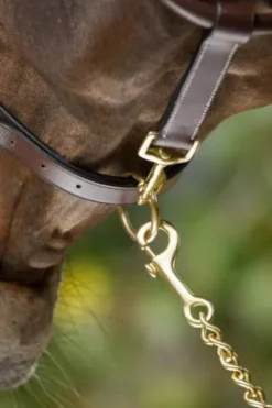 Outlet Licol de pansage marron Licols Et Longes