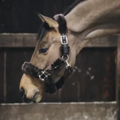 Clearance Licol de transport mouton - Kentucky Licols Et Longes