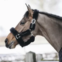 Clearance Licol de transport mouton - Kentucky Licols Et Longes