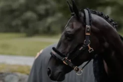 Online Licol doublé mouton et longe - DARK SKY Licols Et Longes