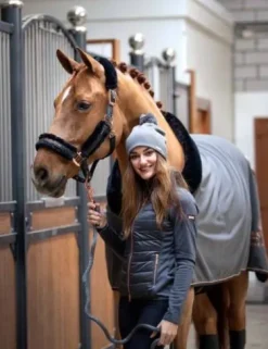 Online Licol doublé mouton et longe - DARK SKY Licols Et Longes