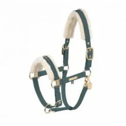 Outlet Licol doublé mouton FAUX LEATHER DOUBLE PIN FF Heritage 2024 - Licols Et Longes