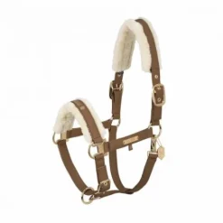 Outlet Licol doublé mouton FAUX LEATHER DOUBLE PIN FF Heritage 2024 - Licols Et Longes