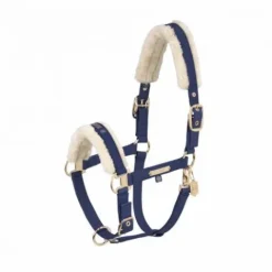 Outlet Licol doublé mouton FAUX LEATHER DOUBLE PIN FF Heritage 2024 - Licols Et Longes