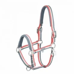 Sale Licol double pin classic sports 2025 - - nylon tricolore Licols Et Longes