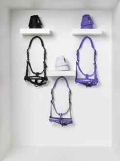 New Licol Double Pin Dynamic 2024 - Licols Et Longes