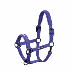 New Licol Double Pin Dynamic 2024 - Licols Et Longes