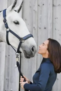 Online Licol Double Pin Glossy Crystal PLATINUM 2024 - Licols Et Longes