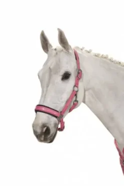 Discount Licol Douplepin Softshell Classic Sport S/S 2021 - Licols Et Longes