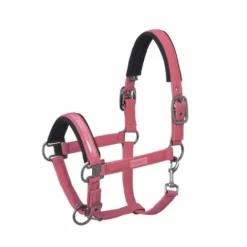 Discount Licol Douplepin Softshell Classic Sport S/S 2021 - Licols Et Longes