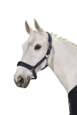 Discount Licol Douplepin Softshell Classic Sport S/S 2021 - Licols Et Longes