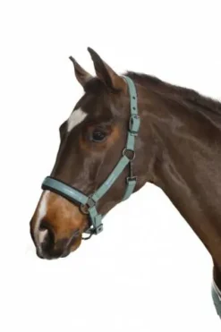 Discount Licol Douplepin Softshell Classic Sport S/S 2021 - Licols Et Longes